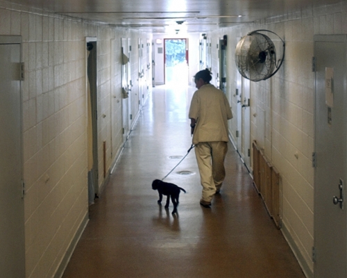 监狱内有数十名惩教人员被指控粗暴殴打及性侵犯女囚犯。AP图片