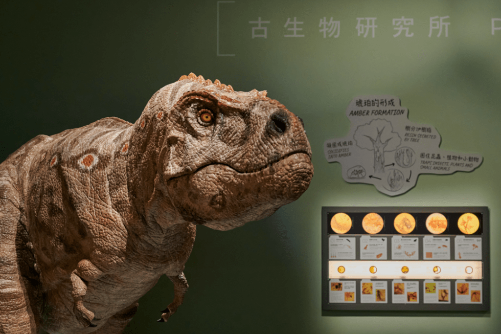 香港科學館常設展覽6「滅絕·新生」（圖片來源：香港科學館）