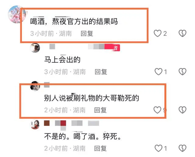有關蕾蕾死因的議論。