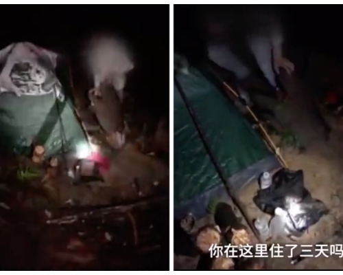 男子在疫情影響下失業,只能在荒山露宿。網圖