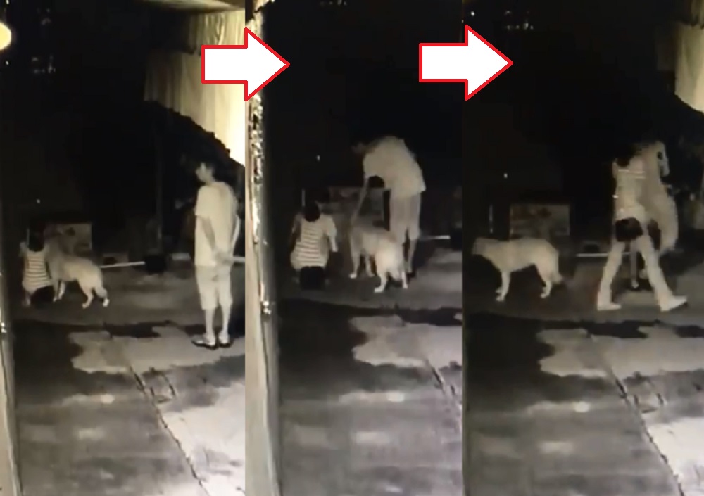 當日有閉電視拍到懷疑棄狗。資料相片