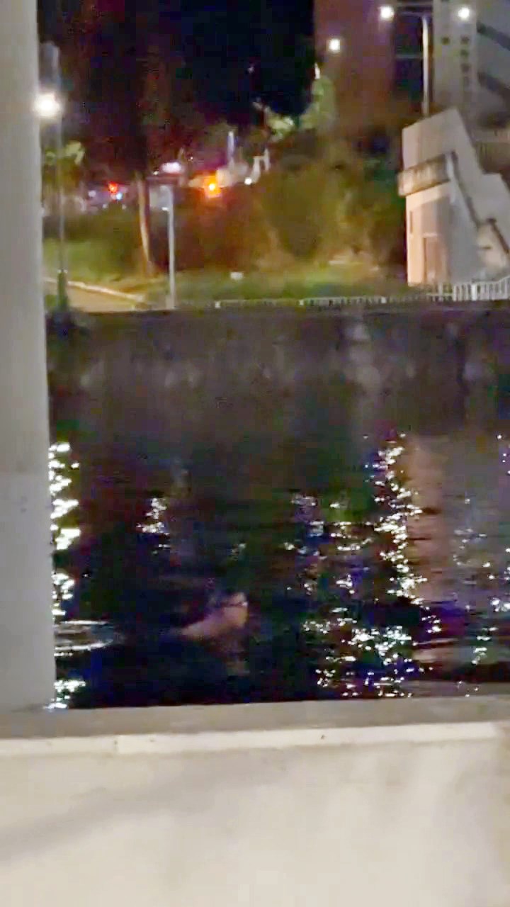 Threads截圖（資料來源：kenneth_llm＠Threads）