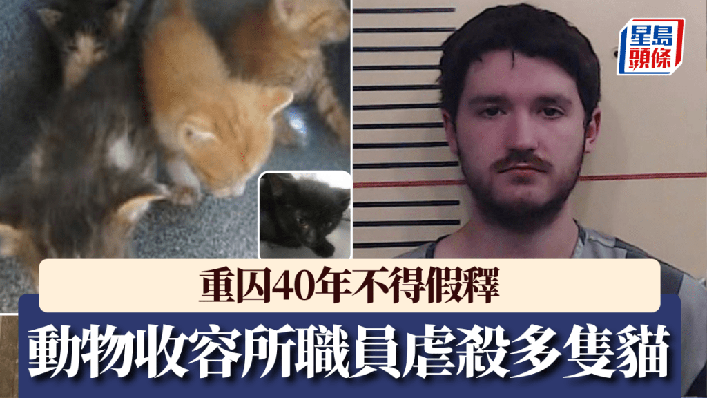 德州男超殘忍虐殺多隻貓,遭判刑40年。
