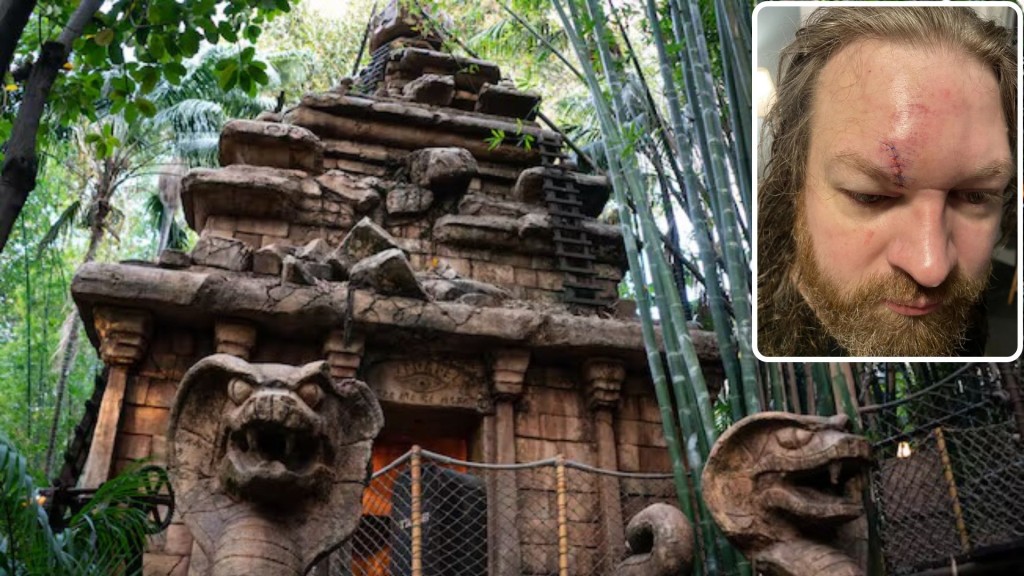 加州迪士尼男子阻插隊遭暴打。 迪士尼官網 / Reddit