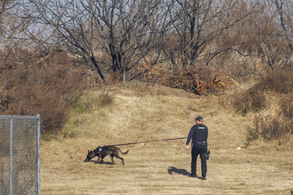 警犬可執行巡邏、搜救、搜證、追截等多項任務。（美聯社）
