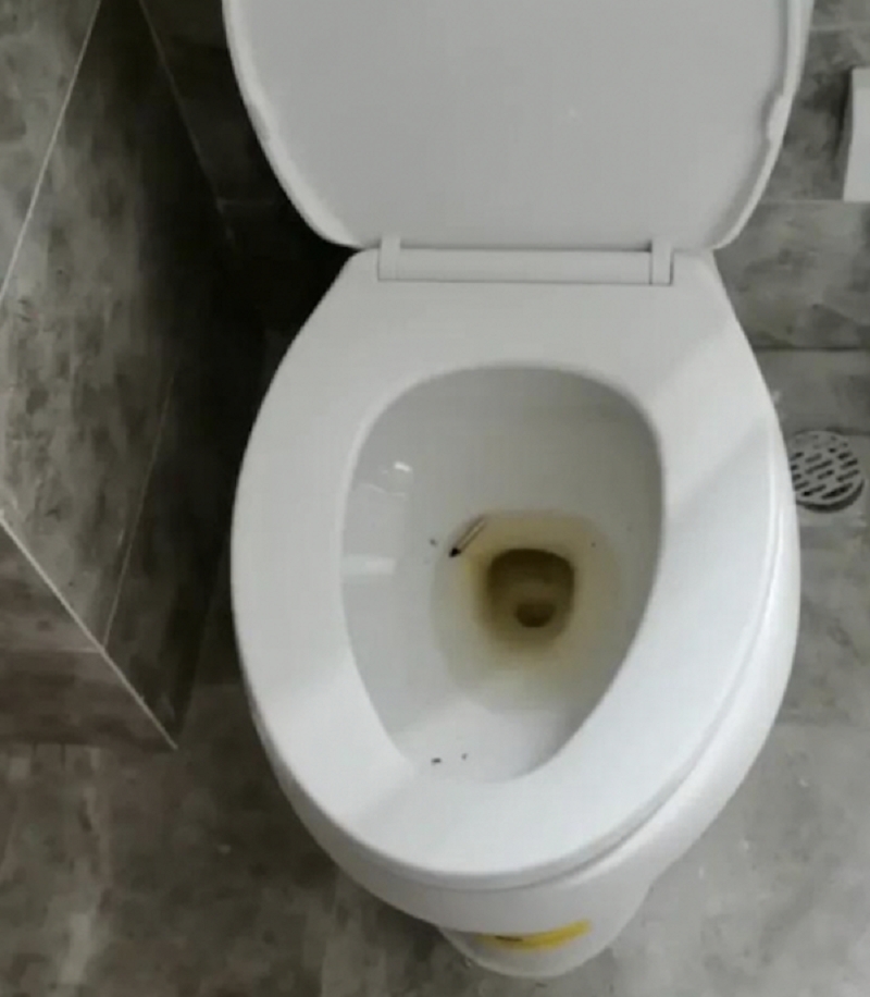 業主投訴有陌生人亂闖入屋用廁所。網上圖片