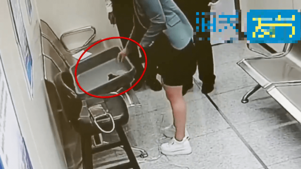 女客打底褲夾層拿出大量活龜。 海關發布 女客打底褲夾層拿出大量活龜。 海關發布