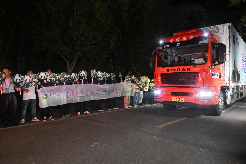 一對大熊貓準備離開中國大熊貓保護研究中心都江堰基地。政府新聞處