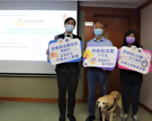 香港罕見疾病聯盟指,每100萬人中,約有15至50患有肺動脈高壓。