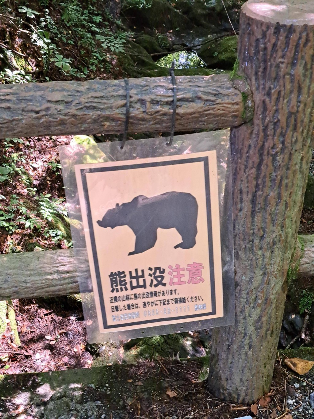 日本當局在步道掛上警告牌，提醒遊客注意熊出沒。