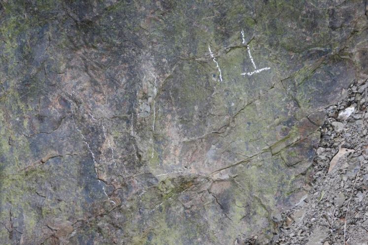 岩壁上發現獸腳類足跡。網上圖片