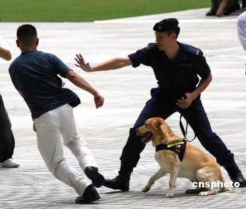阿龍曾任職海關17年,最初9年做領犬員。