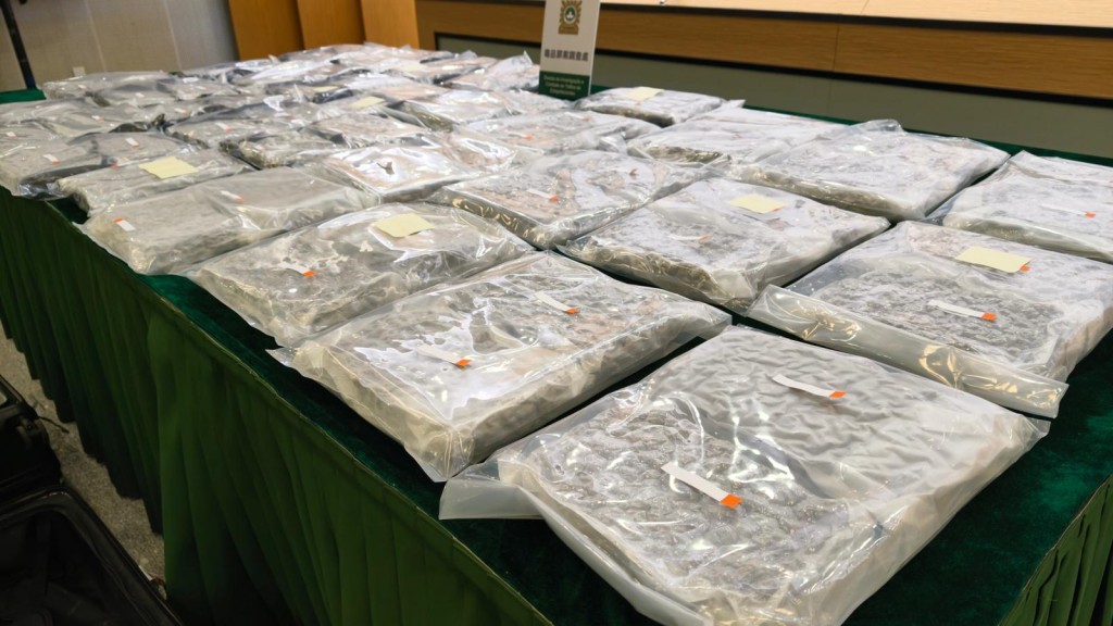 该案为澳门当地历来最大宗偷运大麻案。澳门日报 该案为澳门当地历来最大宗偷运大麻案。澳门日报