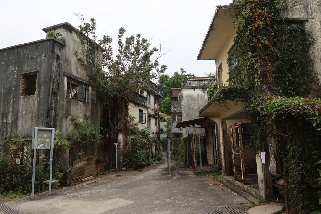 馬灣舊村逐漸丟空荒廢，一轉眼二十多年。