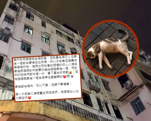 大埔一隻小貓疑遭高空摔下樓死亡,多名善心街坊夾錢助牠善終。Facebook「黃兆健 Siu-Kin Wong」直播影片截圖