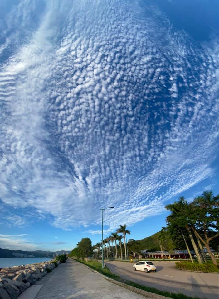 欣澳。社区天气观测计划 Jack Wong 图片