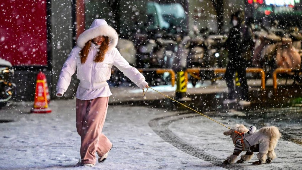 北京昨日迎來今年首場全市降雪。新華社
