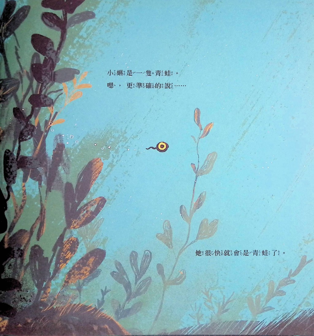 (圖片來源:受訪者提供) (圖片來源:受訪者提供)