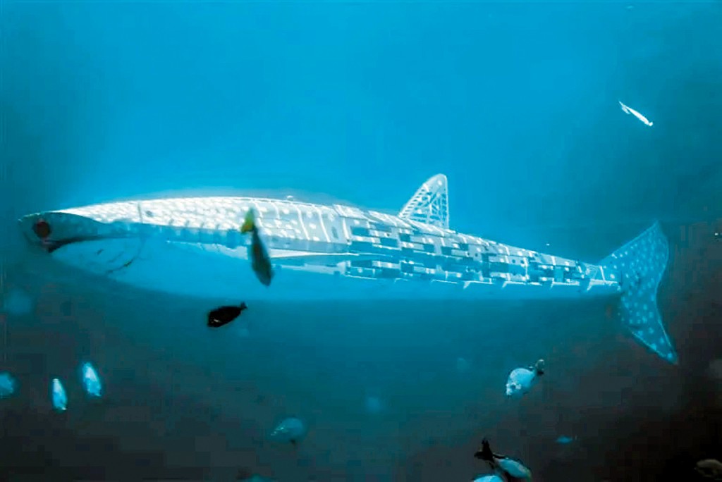 小梅沙海洋世界內的「人造鯨鯊」。