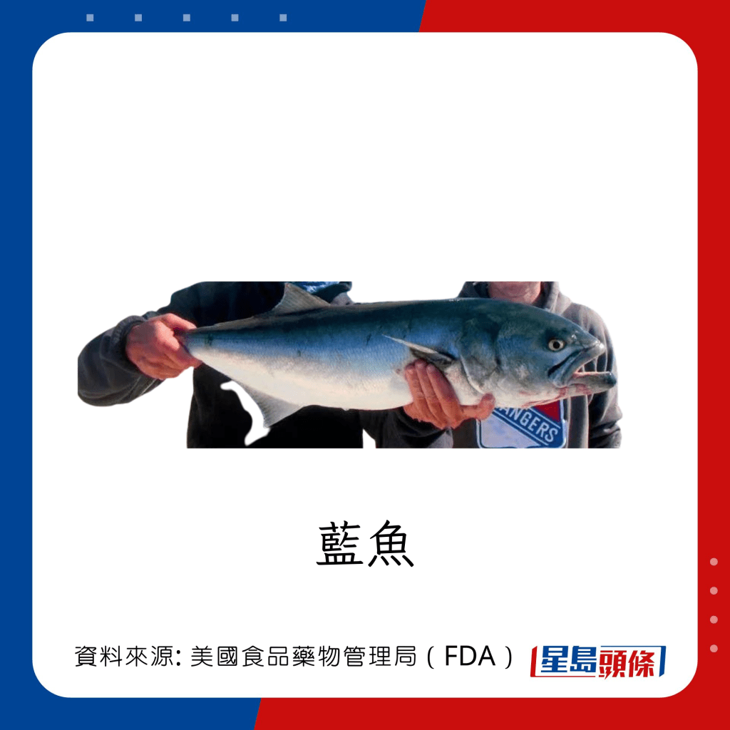 魚類水銀｜水銀含量中等的魚類：藍魚