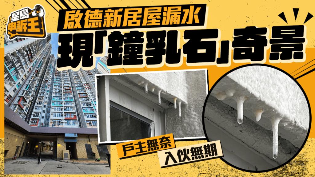 星島申訴王 | 啟德新居屋外牆嚴重漏水 驚見「鐘乳石」奇景 專家教搵源頭 分辨責任誰屬