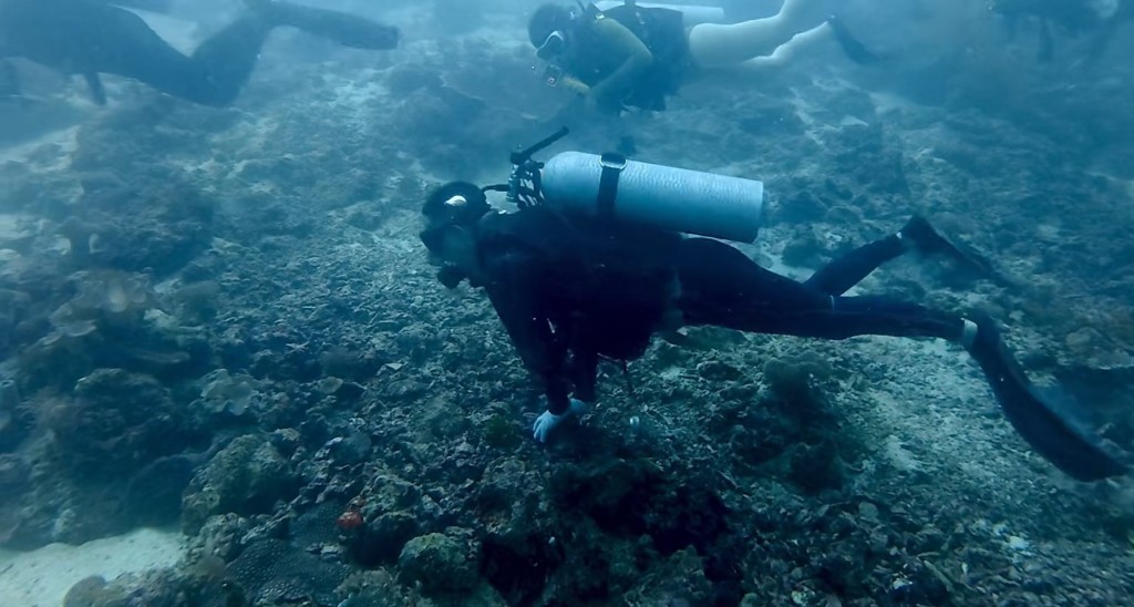 中國潛水客被指在水下做出拖拽極危物種玳瑁、故意捏斷珊瑚等破壞行為。《揚子晚報》