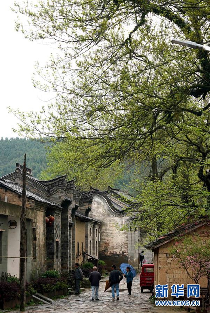 鄉村生態是經濟好資源。(新華社圖片) 鄉村生態是經濟好資源。(新華社圖片)