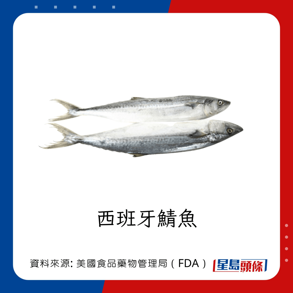 魚類水銀｜水銀含量中等的魚類：西班牙鯖魚