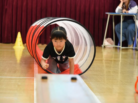（图片由学校提供）
