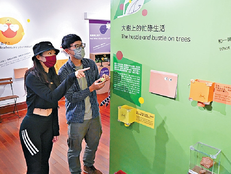 ■龍虎山環境教育中心正舉行「動物的煩惱日常」展覽。