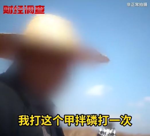用「禁藥」甲拌磷殺蟲，主要原因是為了控制番薯的生產成本（圖：央視《財經調查》）