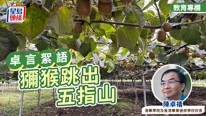 陳卓禧 - 獼猴跳出五指山|卓言絮語