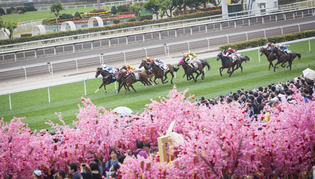 沙田馬場即將於年初三舉辦「農曆新年賽馬日」！