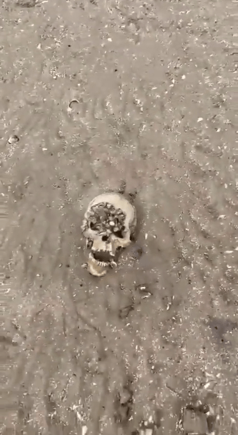 這些頭骨被認為在水霸湖底已經存在了幾十年。@SeosQuinn