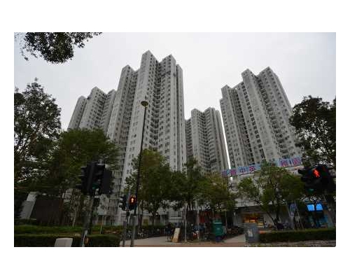 粉岭荣福中心本月首宗成交 两房绿表价283万沽