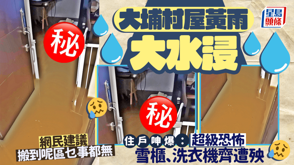 大埔村屋黃雨大水浸 住戶呻爆：超級恐怖 網民建議搬到呢區乜事都無