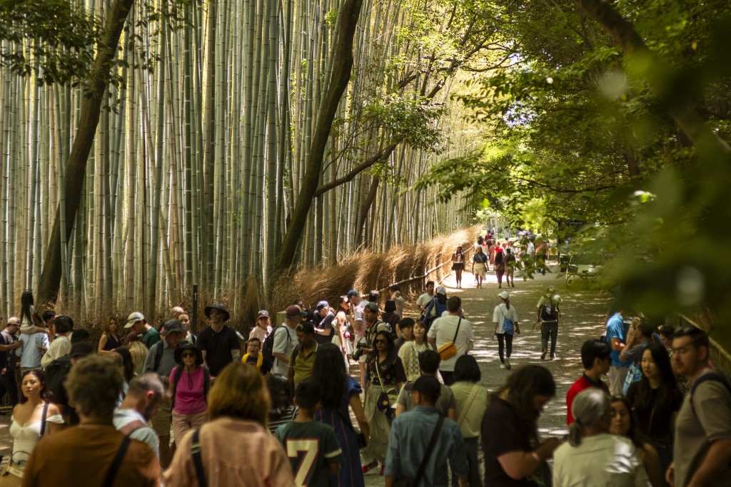 嵐山竹林是京都著名景點。法新社 嵐山竹林是京都著名景點。法新社