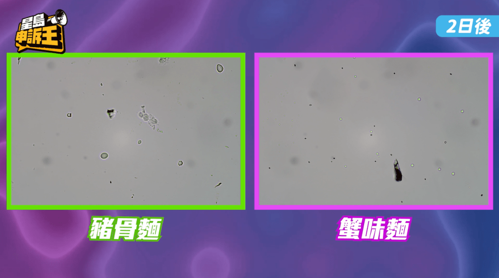 豬骨麵和蟹味麵的微生物較少。
