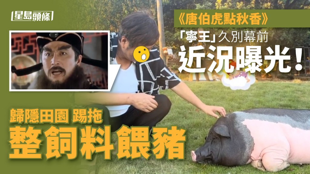《唐伯虎點秋香》「寧王」久別幕前近況曝光！隱居內地鄉村踢拖整飼料餵豬 