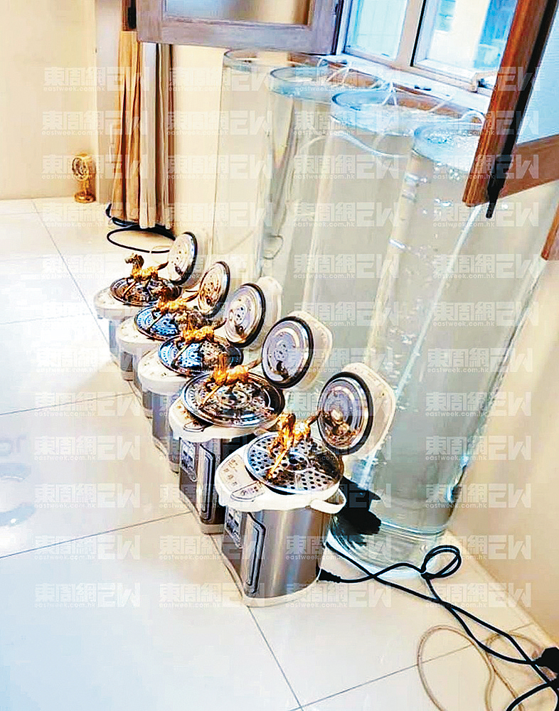 《東周刊》獨家直擊古天樂辦公室及大宅內的多個風水陣。