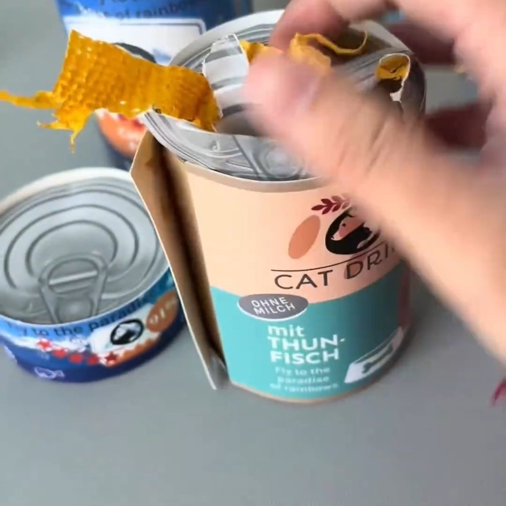 内地宠物经济市场庞大，有工作制作各式宠物祭品。微博@喜气洋洋子