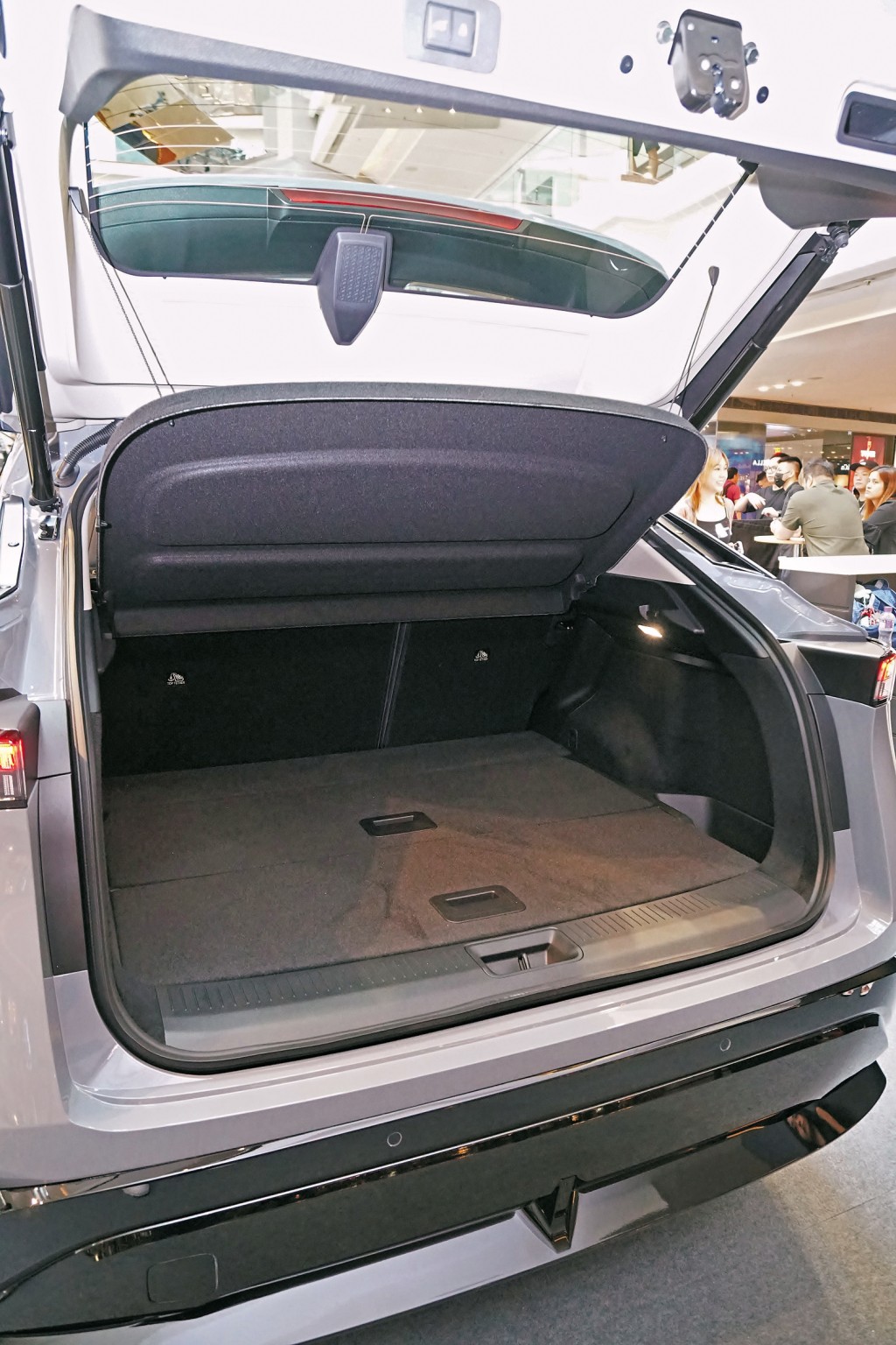 有車主會將寵物放在車尾廂