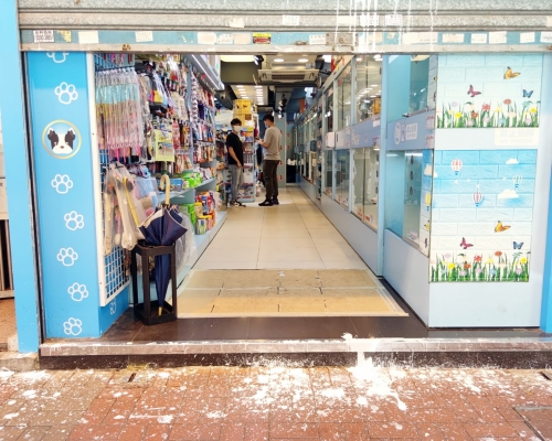 旺角一間寵物店疑被人淋潑油漆。