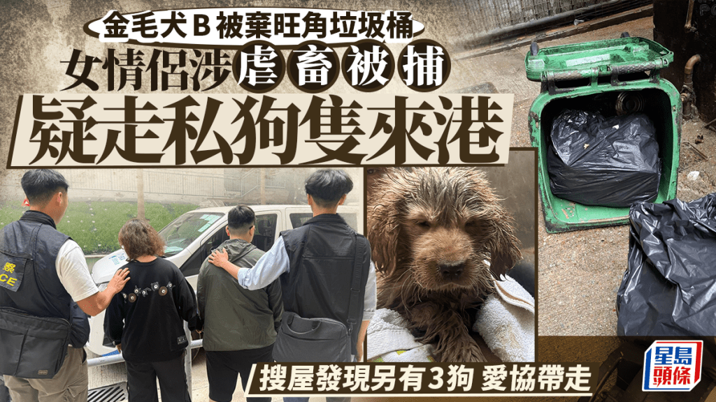 旺角後巷垃圾桶棄病犬案 警查天眼拘女情侶 揭有人疑涉走私動物