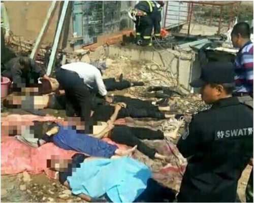 事發於旅順龍頭街道鹽廠新村。網圖