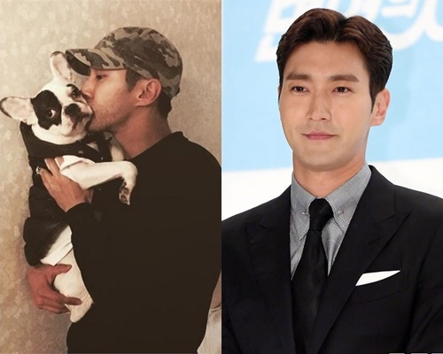 發生愛犬咬人事件後,崔始源連續缺席SJ的回歸活動。