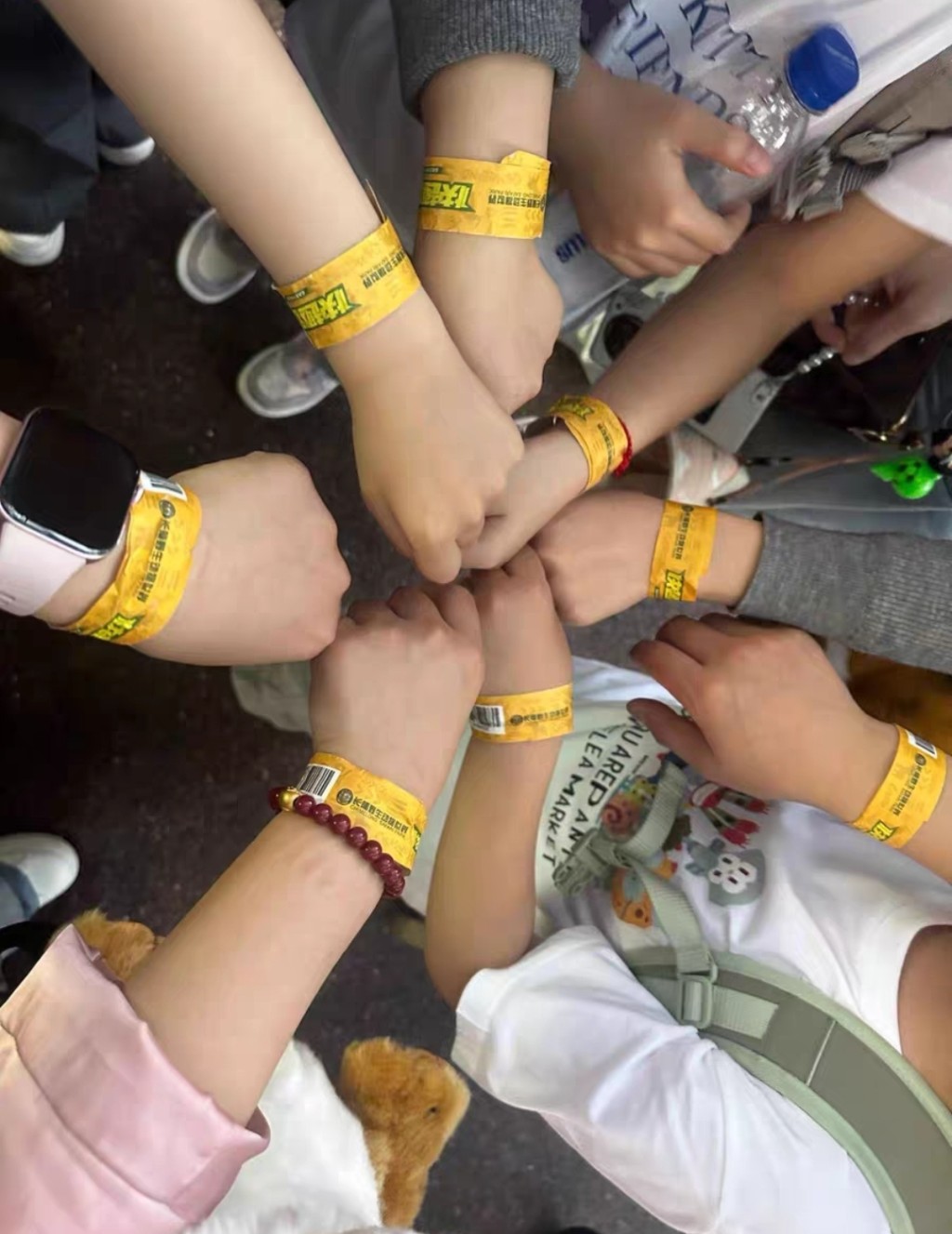 有賣家出售長隆主題公園的免排隊快速手環。
