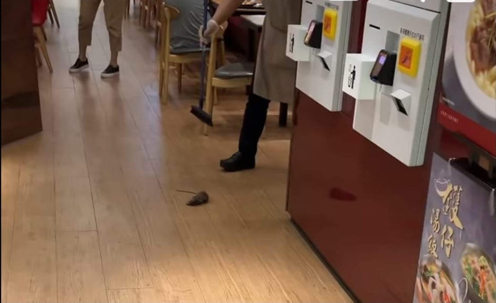 一間新式粥麵店驚現老鼠，經過一輪鬥法，職員阿姐最終用掃把棍把老鼠扑暈。「真．屯門友」facebook群組