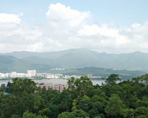 高層單位外望翠綠景致,更可眺望海景。