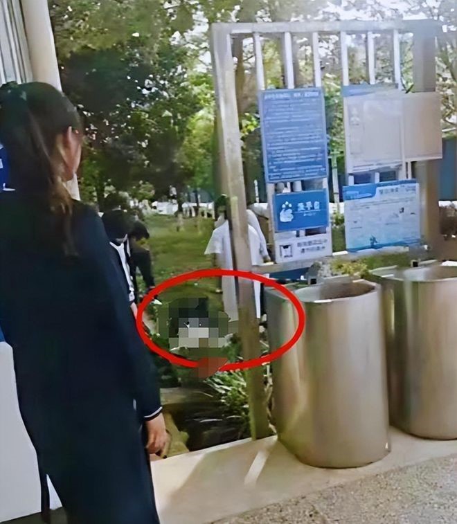 张永辉称遭职场欺凌，在学校跳楼获救。